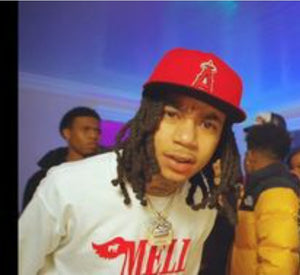 KAMELL FEATHER CREW NECK